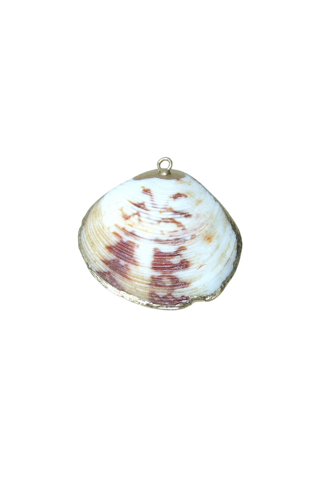 Seashells, Pearls, Cowrie Charm Options
