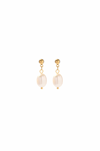Willa - Gold Freshwater Pearl Stud Earrings