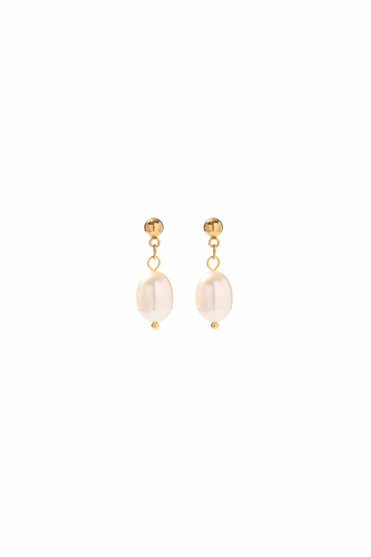 Willa - Gold Freshwater Pearl Stud Earrings