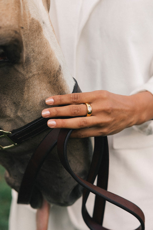 Sterling - Gold Horse Eye Diamond Ring
