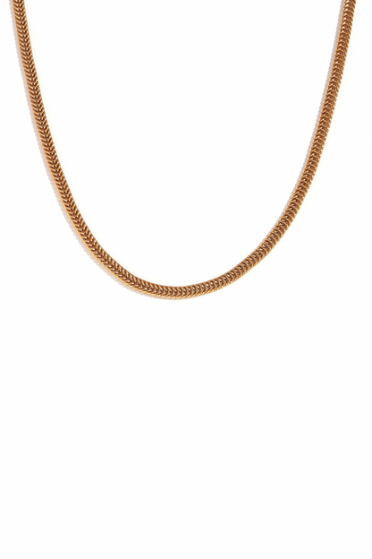 Asteria - Gold Foxtail Chain Necklace