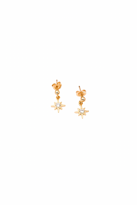 Sirius - Gold Filled Star Earrings